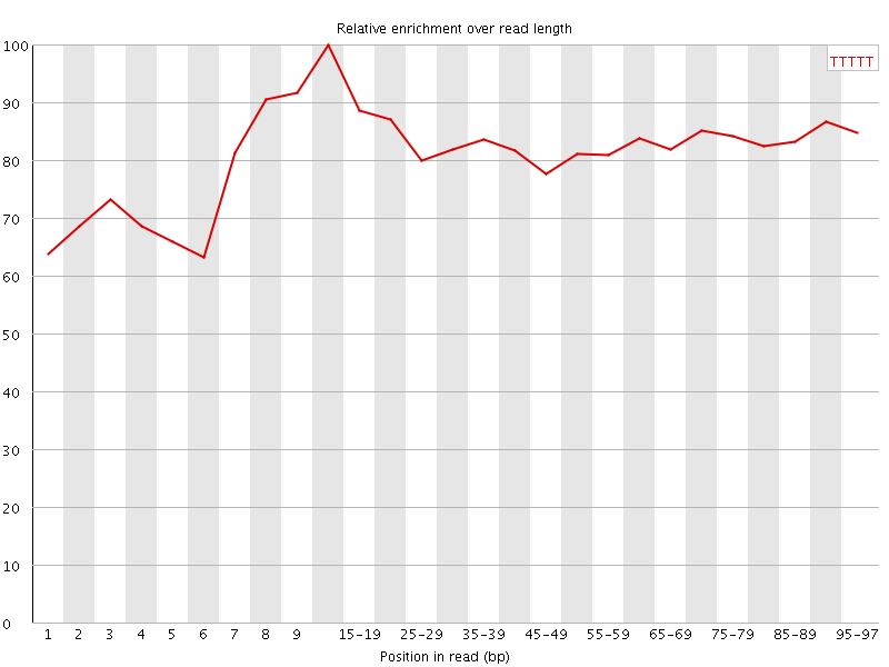 Kmer graph