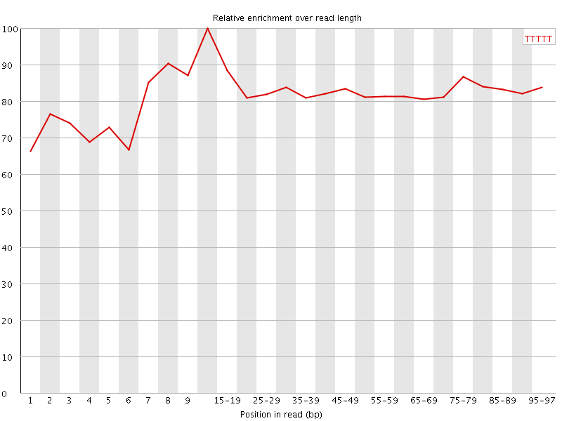 Kmer graph