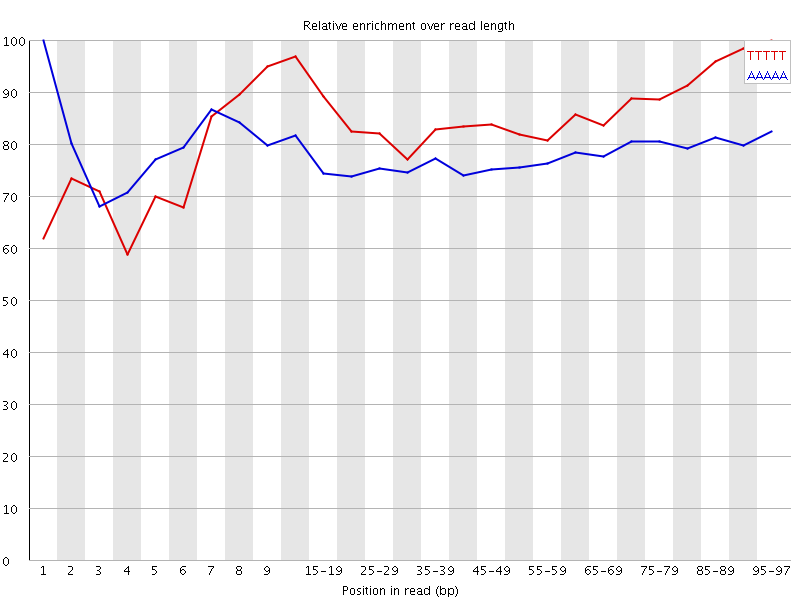 Kmer graph