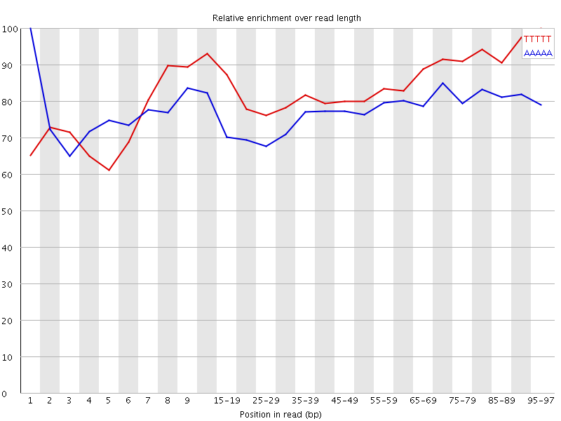 Kmer graph