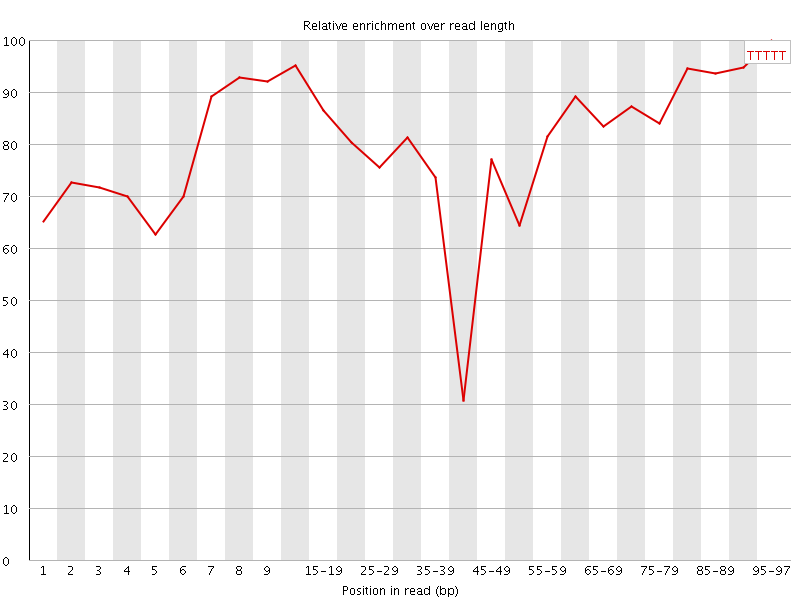 Kmer graph