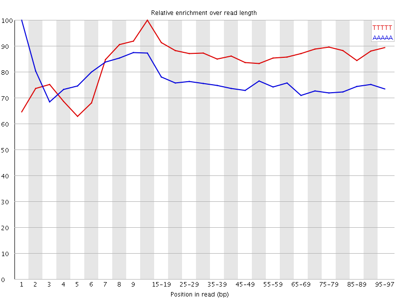 Kmer graph