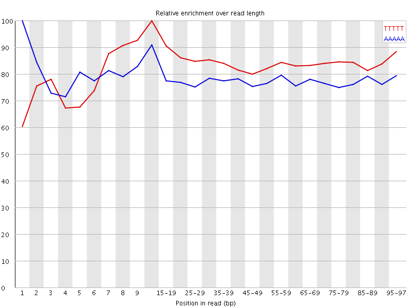 Kmer graph