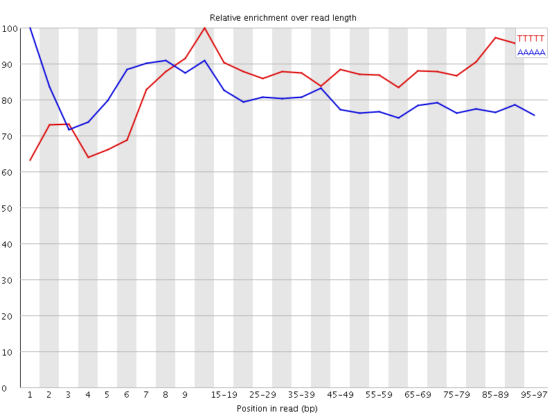 Kmer graph