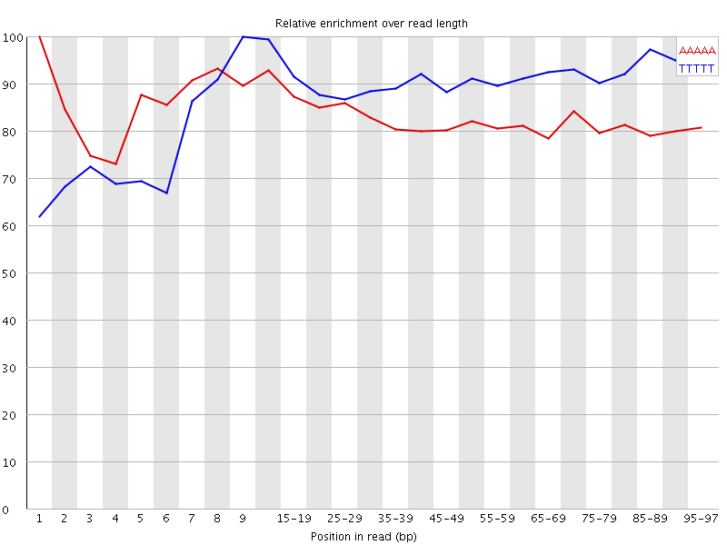 Kmer graph
