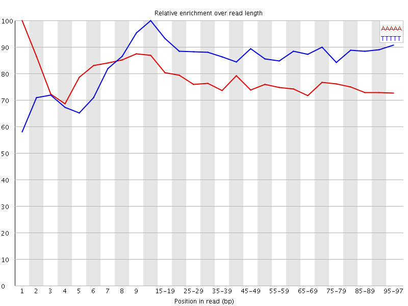 Kmer graph