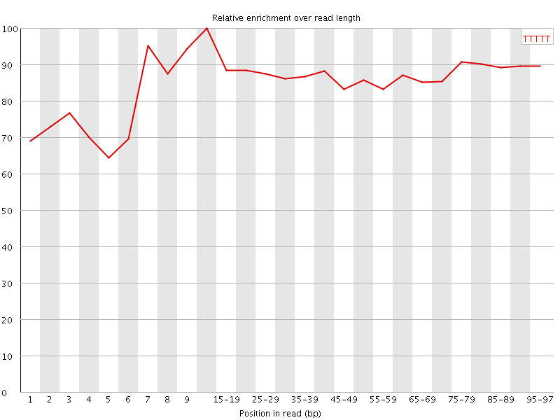 Kmer graph