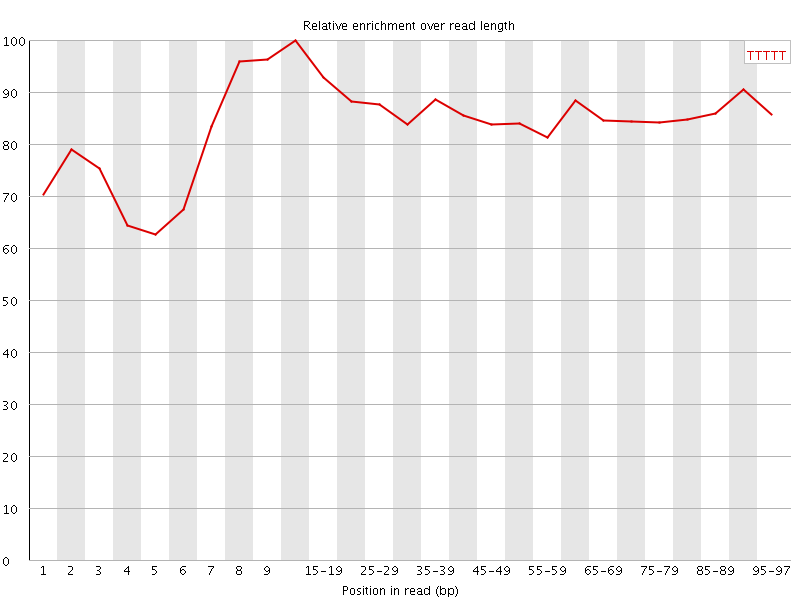 Kmer graph