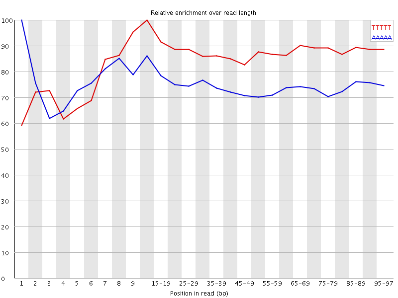 Kmer graph