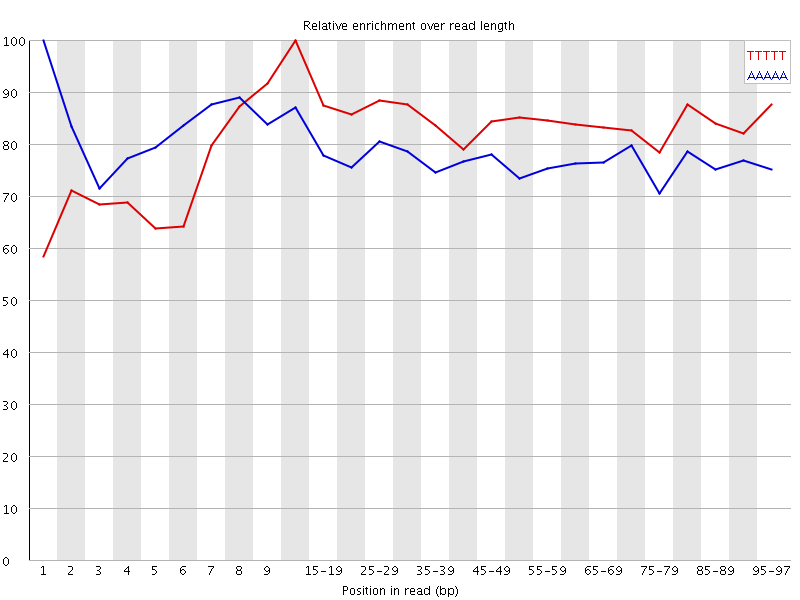 Kmer graph