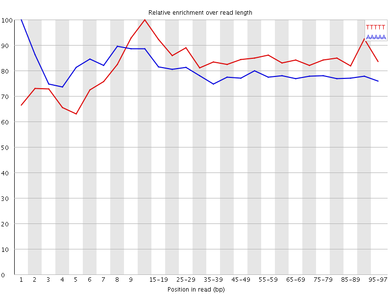 Kmer graph