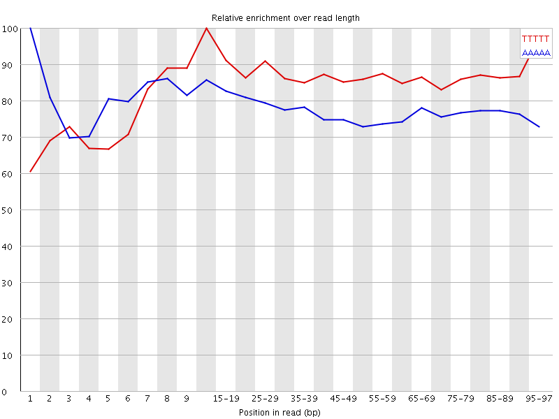 Kmer graph