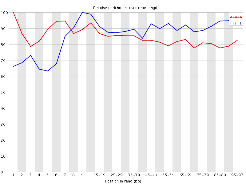 Kmer graph