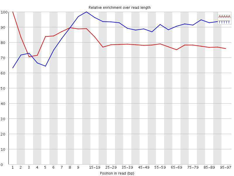 Kmer graph