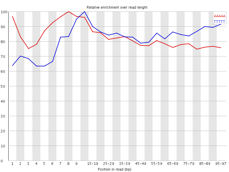 Kmer graph